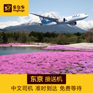 皇包车 日本东京接机送机 成田 羽田 茨城机场 