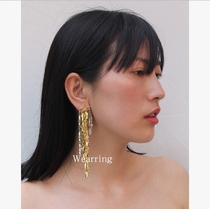 European and American designer tassel earrings long female 2021 New Tide personality Net red with heavy industry temperament earrings