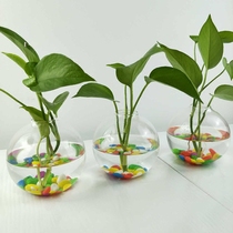 Simple countertop vase glass vase creative transparent glass living room table decorative flower Ware ornaments green flower pot