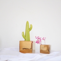 Nordic Golden flowerpot square brass color light luxury soft installation hydroponic multi-meat ceramic flower machine desktop ornaments