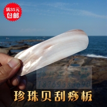 Natural sea snail shell scraping plate massage plate meridians Meridian Cosmetic Scraping Plate Creative mom and dad Dispel Wet Gifts