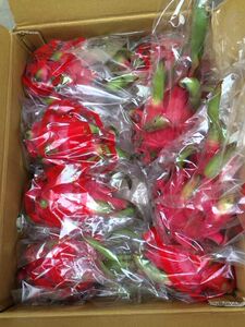 全球鲜越南红心火龙果 进口水果 含花青素 原箱