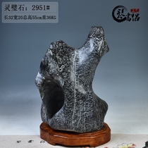Qin Book Lingbi Stone No. 2951 ornamental stone strange stone business gifts home crafts decoration ornaments