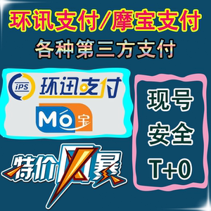 第三方支付 环讯支付 环讯接口 安全稳定 T+0 现