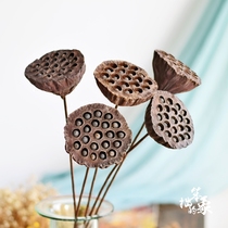 Dry showerhead natural dried flowers Zen true flowers Original ecological living room floor-to-ceiling decoration Home furnishings for Buddha flowers simulation flowers