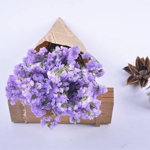 勿忘我 淡紫色永生花客厅装饰插花520情人节礼物 云南天然干花