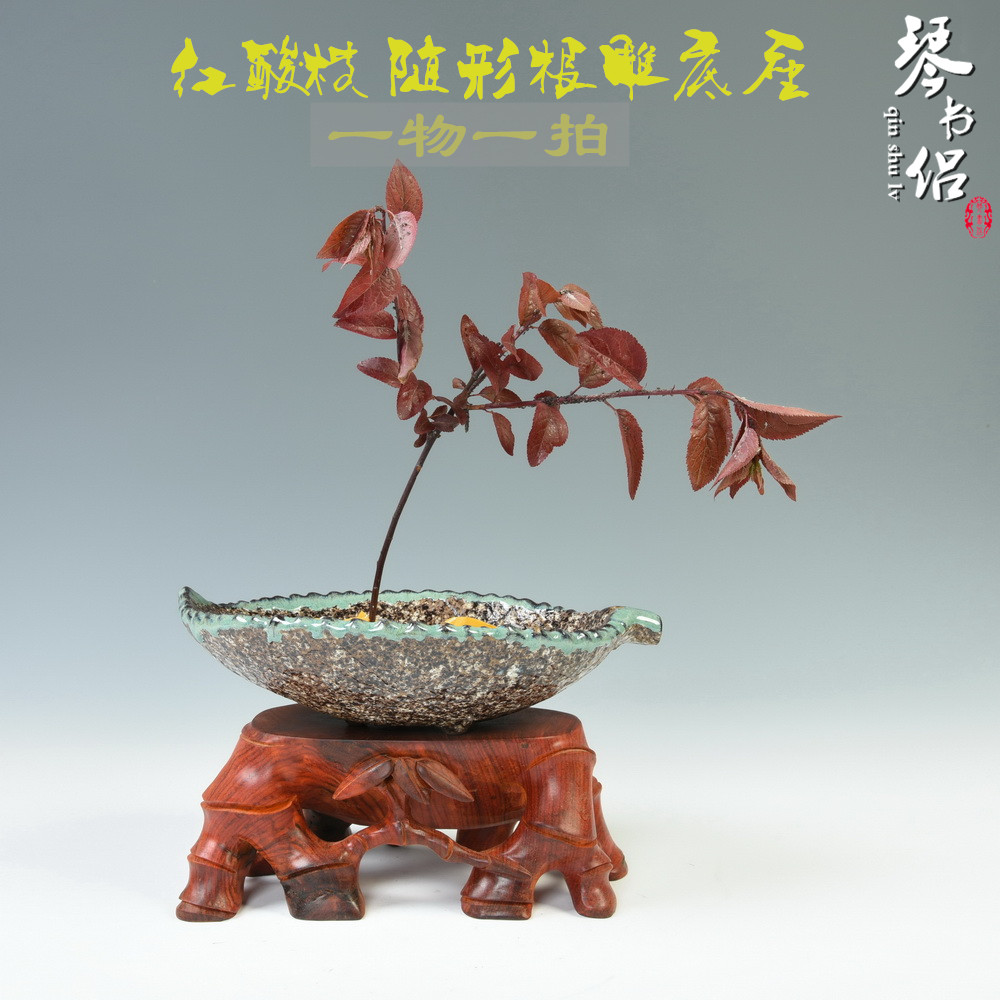 Pianology picking red rosewood carving stone, ceramic tea pot - the root carving handicraft furnishing articles pottery excavated wood base