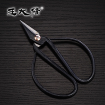 Chinese time-honored brand Shanghai famous trademark-Wang Dalong flange front steel nail scissors suitable for cutting gray nails