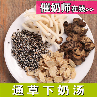 小通草王不留行漏芦黄芪通奶茶下奶汤增奶12付包邮店内有下奶茶