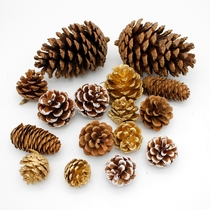 Natural Christmas Big Pine fruit dried flower ornaments Christmas tree decoration DIY dried flower material shooting auxiliary props