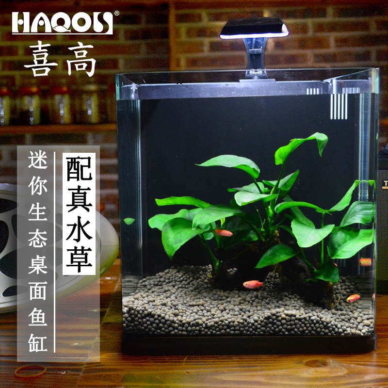 小型迷你方型创意客厅办公室桌面水草造景金鱼热带鱼微鱼缸海水缸 Изображение 1 小型迷你方型创意客厅办公室桌面水草造景金鱼热带鱼微鱼缸海水缸 Изображение 1