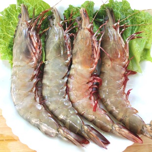 对虾1号发海南三亚 虾 新鲜海鲜 大海虾 明虾 对虾 白虾500克发顺丰