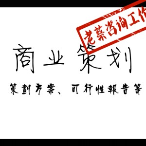 专业代写各种策划方案 商业计划书营销推广方