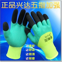 Xingda foaming king latex wrinkle anti-slip work gloves labor gloves wear-resistant immersion rubber strengthened fingers and semi-hanging