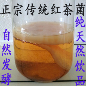 正宗传统红茶菌\/红茶菌菌种\/海宝\/胃宝\/醋蛾子\/包邮优惠价13.80元,传统红茶菌精心为您挑选-麦尔网购导航-网购宝
