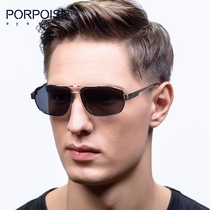 Dolphin Sun Glasses The New Big Box Mens Tide Peoples Mirror Driver Mirror Drive Mirror Drive Mirror 3352