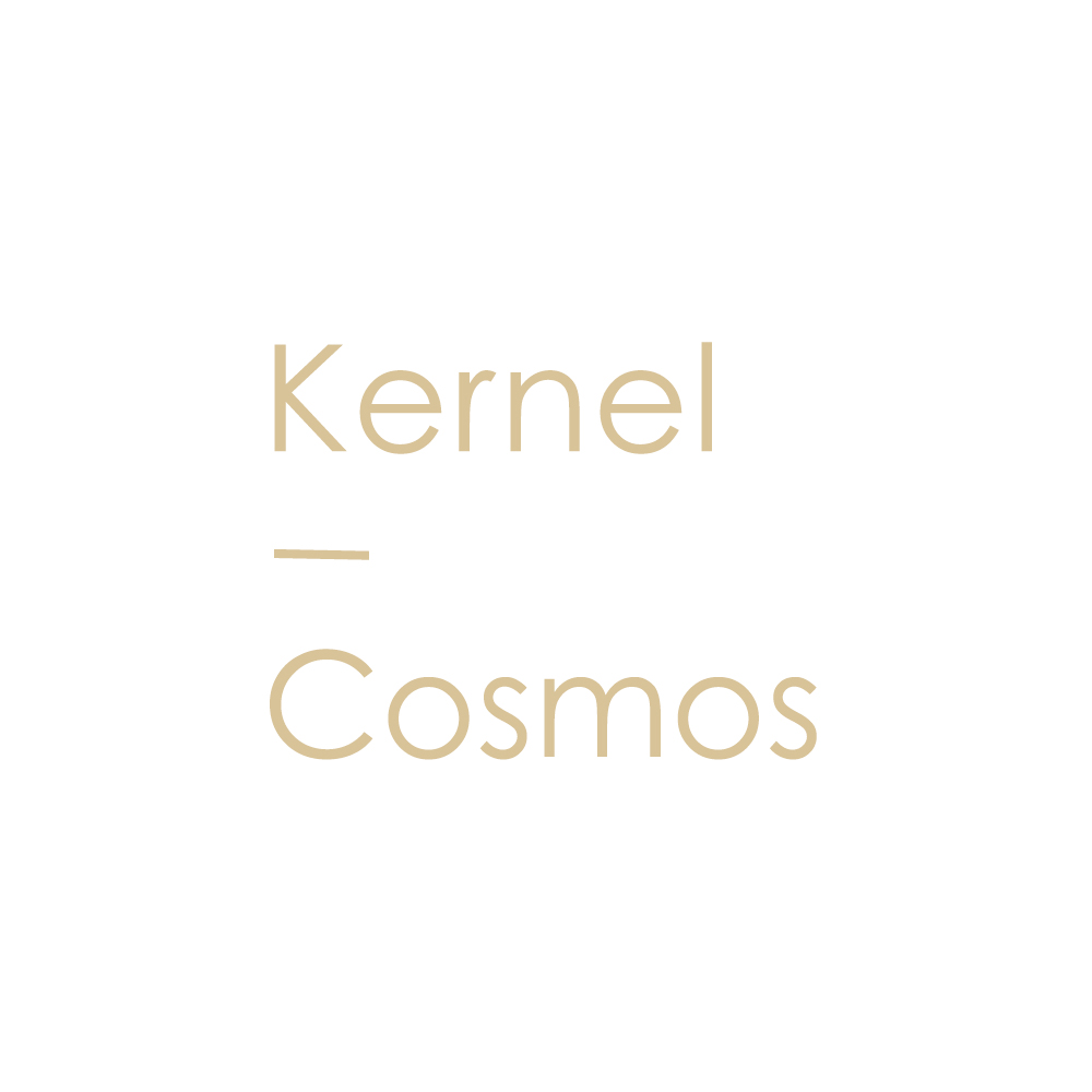 果核宇宙KERNEL COSMOS