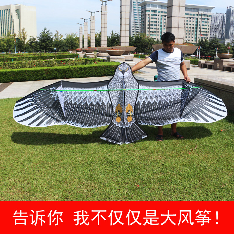 weifang eagle kite kite children cartoon adults medium weifang kite line round line easygroup diy breeze
