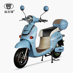 小飞哥电动车电动自行车小龟王48v电瓶车代步