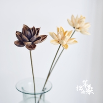 Lotus dried flower art natural plant Zen decoration Living room decoration photo props Flower buddha lotus simulation flower