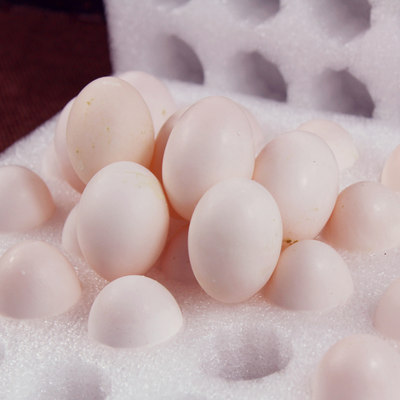 商品选购 散养野鸽 价格: 328.00 现价:79.