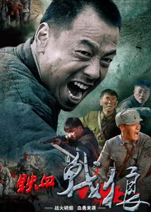 包邮 抗日战争电视剧 铁血战狼DVD碟片 王挺 