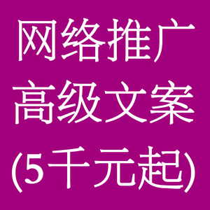 网络推广文案 服务教程 营销策划 提高名气 扩大