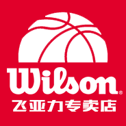 wilson飞亚力专卖店