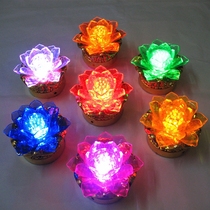 LED plastic colorful lotus Lotus lotus flower for Buddha lamp electric supply Changming lamp plug-in battery dual-purpose hot sale