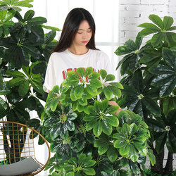 Simulated money tree potted plants floor-standing large fake green trees plastic fake flowers P office living room interior decoration