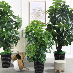 Simulated fortune tree potted plant floor-standing large fake green tree planting plastic fake flower office living room interior decoration