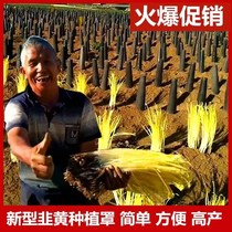 Leek planting A tube special planting cover conical shade cover chive cover sun protection agriculture light-proof vegetable garden light isolation