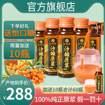 Sea buckthorn puree raw liquid raw squeezed sea buckthorn fruit oil 100 seabuckthorn oil slurry official flagship store sugar-free sea buckthorn juice