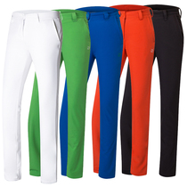 Golf pants women's pants autumn and winter plus velvet padded warm pants elastic slim non-iron straight pants