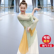 Classical dance body rhyme yarn clothes diamond-encrusted dance clothing Chinese dance modern national body yoga base training work clothes female