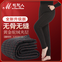 Thick womens high waist camel pants mother cotton pants middle-aged elderly warm pants grandma wool cotton pants Winter fattening