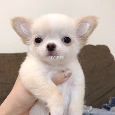 好穿 淘宝几年才知道原来评论85个字才会有积分。所以从今天到以后，这段话走到哪里就会复制到哪里。首先要保证质量啊，东西不赖啊。不然就用别的话来评论了。不知道这样子够不够85字。谢谢老板的认真检查。东西特别好，我不是刷评论的，我是觉得东西好我才买的，你会发现我每一家都是这么写的。因为复制一下就好了。