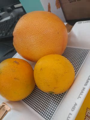 非常好用非常好用非常好用非常好用非常好用好用非常好用非常好用非常好用非常好用非常好用好用非常好用非常好用非常好用非常好用非常好用好用非常好用非常好用非常好用非常好用非常好用好用非常好用非常好用非常好用非常好用非常好用好用非常好用非常好用非常好用非常好用非常好用好用非常好用非常好用非常好用非常好用非常好用好用非常好用非常好用非常好用非常好用非常好用好用非常好用非常好用非常好用非常好用非常好用好用非常好用非常好用非常好用非常好用非常好用好用非常好用非常好用非常好用非常好用非常好用好用非常好用非常好用非常好用非常好用非常好用好用