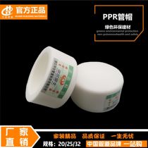 PPR tube cap 4 points 20 hot melt 6 minutes 25 choke plug 1 inch 32 Containment Cap 40 Pipe Jam 50 Water Pipe 63 Accessories pipe fittings
