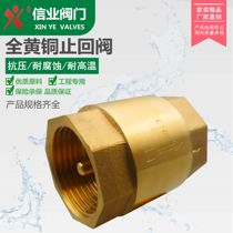 Full copper check valve Check Valve Brass Backstop Valve Water Meter Backstop Valve Water Pump Anti-Turn Valve Water Pipe Converse Water Valve