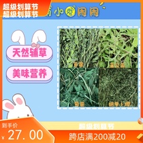 Drying alfalfa dangerous lettuce leafy carrot stew rabbit dragon cat