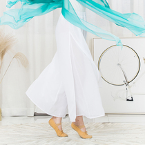Classical dance practice pants Split elegant modern dance pants body rhyme yoga pants Female dance pants loose wide-legged pants