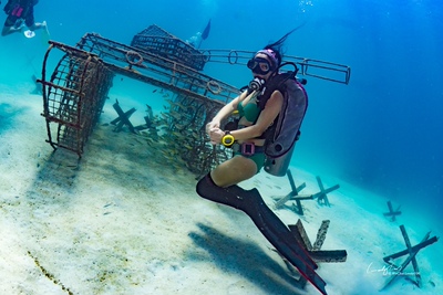 客服很好,面料也很不错,以后就你家了 客服很好,面料也很不错,以后就你家了