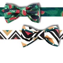 New Fun Series Butterfly Knot Ornament Cute Fashion Small Medium-sized Large Dog Cat Versatile Neckline Bow Tie