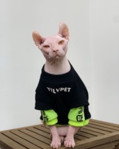 Tide brand custom hairless cat clothes autumn and winter warm Sphinx fake two-piece sweater sweater German short feet