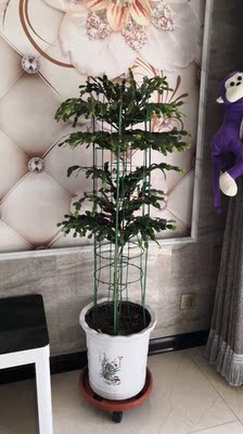 讨论解说荣耀V10和10GT手机那个好，评测细节对比，真相大曝光！