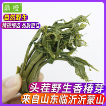 Ding Orange Shandong specialty Yimeng Mountain fresh toon buds pickled pickles pickles head stubble tender toon 500g