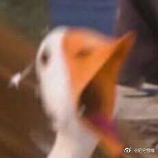 声音小到吼都听不见!!慎入!声音小到吼都听不见!!慎入!声音小到吼都听不见!!慎入!声音小到吼都听不见!!慎入!声音小到吼都听不见!!慎入!声音小到吼都听不见!!慎入!声音小到吼都听不见!!慎入!声音小到吼都听不见!!慎入!声音小到吼都听不见!!慎入!声音小到吼都听不见!!慎入!声音小到吼都听不见!!慎入!声音小到吼都听不见!!慎入!声音小到吼都听不见!!慎入!声音小到吼都听不见!!慎入!声音小到吼都听不见!!慎入!声音小到吼都听不见!!慎入!声音小到吼都听不见!!慎入!声音小到吼都听不见!!慎入!声音小到吼都听不见!!慎入!声音小到吼都听不见!!慎入!声音小到吼都听不见!!慎入!