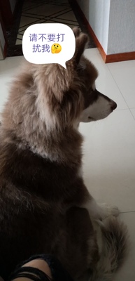 宝贝很不错(*๓&acute;╰╯`๓)♡。很好很好。宝贝很不错(*๓&acute;╰╯`๓)♡。很好很好。宝贝很不错(*๓&acute;╰╯`๓)♡。很好很好。宝贝很不错(*๓&acute;╰╯`๓)♡。很好很好。宝贝很不错(*๓&acute;╰╯`๓)♡。很好很好。宝贝很不错(*๓&acute;╰╯`๓)♡。很好很好。宝贝很不错(*๓&acute;╰╯`๓)♡。很好很好。宝贝很不错(*๓&acute;╰╯`๓)♡。很好很好。宝贝很不错(*๓&acute;╰╯`๓)♡。很好很好。宝贝很不错(*๓&acute;╰╯`๓)♡。很好很好。宝贝很不错(*๓&acute;╰╯`๓)♡。很好很好。宝贝很不错(*๓&acute;╰╯`๓)♡。很好很好。宝贝很不错(*๓&acute;╰╯`๓)♡。很好很好。宝贝很不错(*๓&acute;╰╯`๓)♡。很好很好。宝贝很不错(*๓&acute;╰╯`๓)♡。很好很好。宝贝很不错(*๓&acute;╰╯`๓)♡。很好很好。宝贝很不错(*๓&acute;╰╯`๓)♡。很好很好。宝贝很不错(*๓&acute;╰╯`๓)♡。很好很好。宝贝很不错(*๓&acute;╰╯`๓)♡。很好很好。宝贝很不错(*๓&acute;╰╯`๓)♡。很好很好。