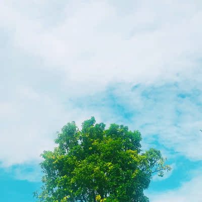 天呐真的好舒服！比优衣库的好！我的好多内衣都是兰卓丽的，这次买了两个，一薄一厚，平胸表示特别好穿，以后买内衣就认真兰卓丽了！图文无关